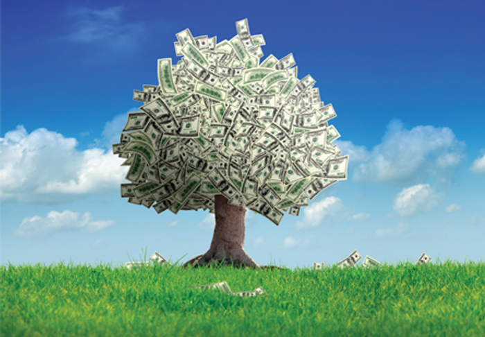 Marquette Finance tree